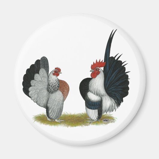 Serama Bantams Magneet (Voorkant)