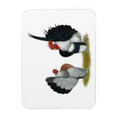 Serama Bantams Magneet (Verticaal)