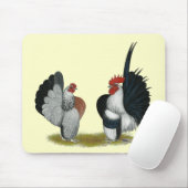 Serama Bantams Muismat (Met muis)