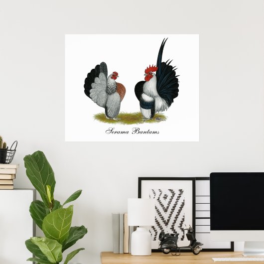 Serama Bantams Poster (Thuiskantoor)