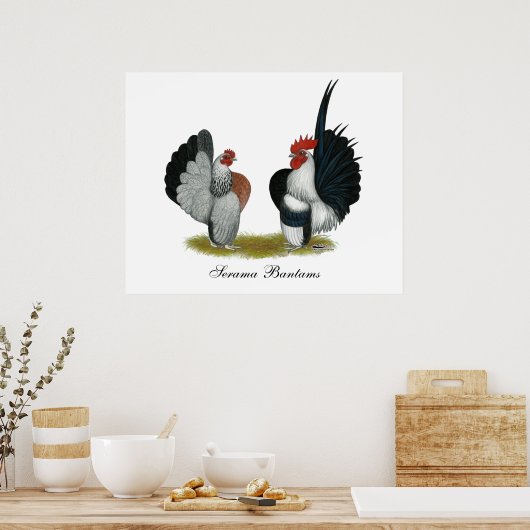 Serama Bantams Poster (Keuken)