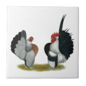 Serama Bantams Tegeltje (Voorkant)