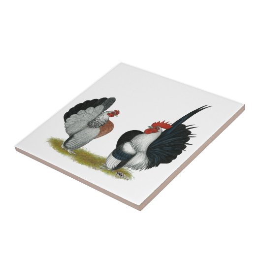 Serama Bantams Tegeltje (Zijkant)