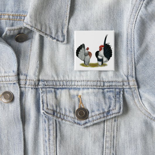 Serama Bantams Vierkante Button 5,1 Cm (In situ)