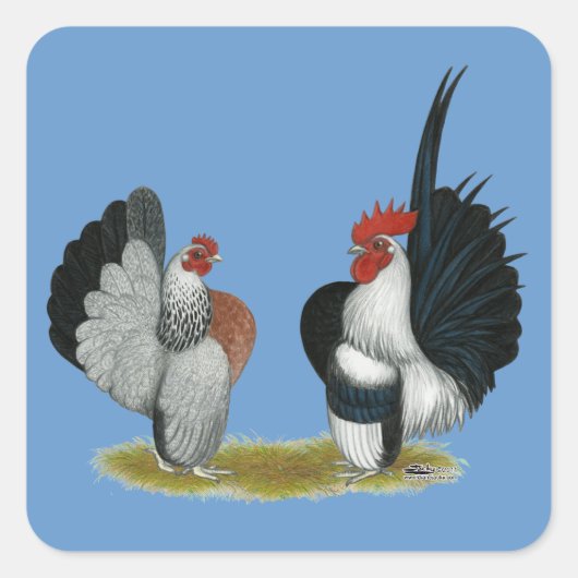 Serama Bantams Vierkante Sticker (Voorkant)