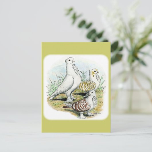 Seraphim Pigeons Briefkaart (Staand voorkant)