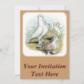 Seraphim Pigeons Kaart (Voorkant)