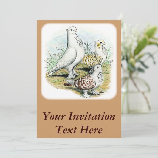 Seraphim Pigeons Kaart (Staand voorkant)