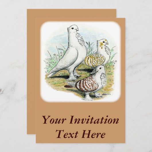 Seraphim Pigeons Kaart (Voorkant / Achterkant)