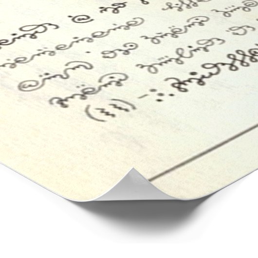 Seraphinianus codex poster (Hoek)