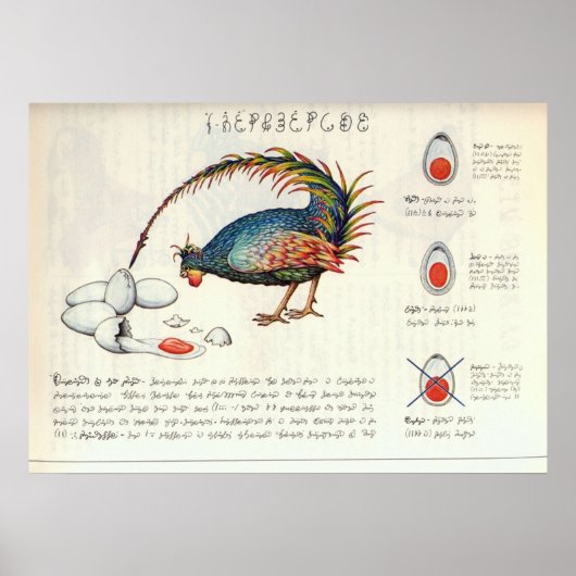 Seraphinianus codex poster (Voorkant)