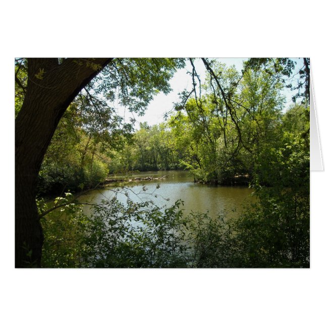 sereen (Voorkant Horizontaal)