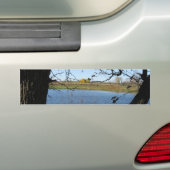 sereen zoeken bumpersticker (Op auto)