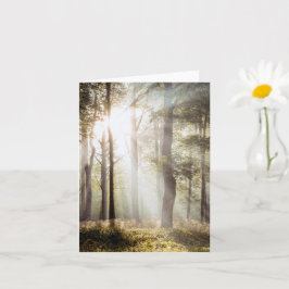 Seren bos met zonlicht kaart