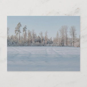Seren landschap van besneeuwd bos briefkaart