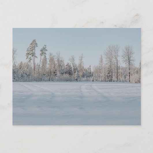 Seren landschap van besneeuwd bos briefkaart (Voorkant)