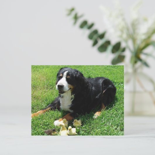 Serena en de Ducklings Briefkaart (Staand voorkant)