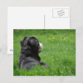 Serena in de zon briefkaart (Voorkant / Achterkant)