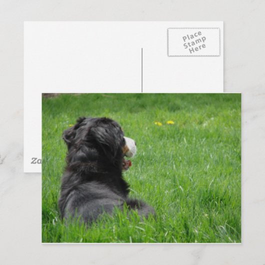 Serena in de zon briefkaart (Voorkant / Achterkant)