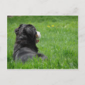 Serena in de zon briefkaart (Voorkant)