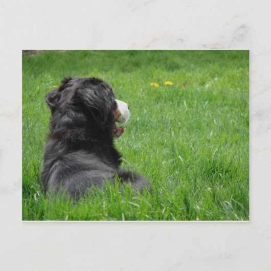 Serena in de zon briefkaart (Voorkant)