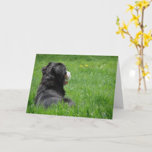 Serena in de zon kaart (Gele Bloem)