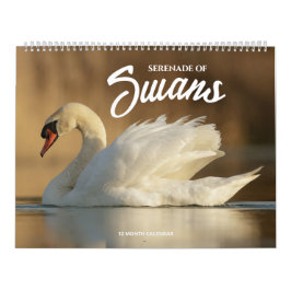 Serenade van zwanen kalender