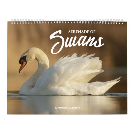 Serenade van zwanen kalender (Hoes)