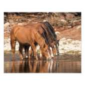 Serendipiteit Foto Afdruk (Voorkant)