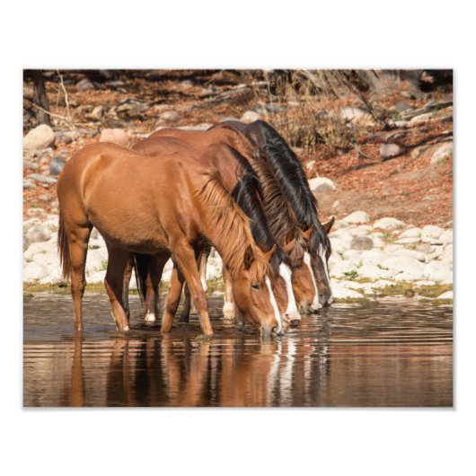 Serendipiteit Foto Afdruk (Voorkant)