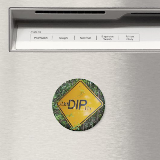 Serendipity Magnet (Insitu (Vaatwasser))