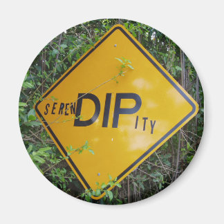 Serendipity Magnet