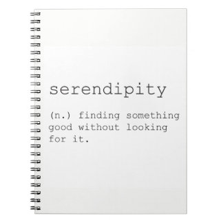 Serendipity notebook notitieboek