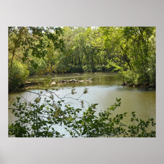 Serene 2 poster (Voorkant)