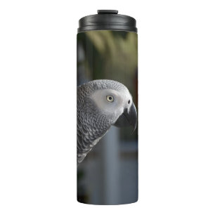 Serene African Gray Parrot Thermosbeker