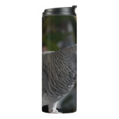 Serene African Gray Parrot Thermosbeker (Gedraaid links)