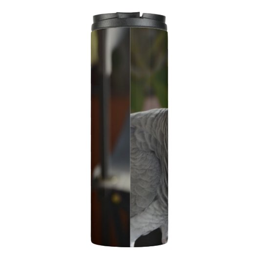 Serene African Gray Parrot Thermosbeker (Achterkant)