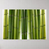 Serene Bamboo Poster (Voorkant)