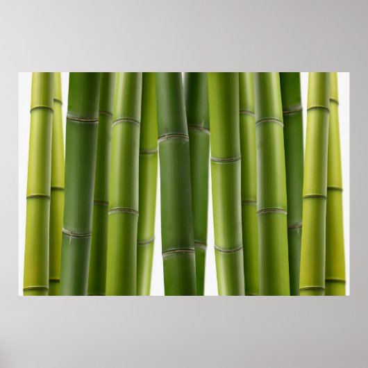 Serene Bamboo Poster (Voorkant)