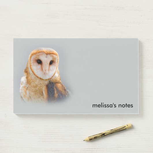 Serene Beauful Barn Owl Raptor Bird of Prey Post-it® Notes (Op bureau)