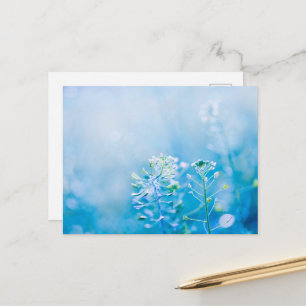 Serene Blauwe Wilde Bloem Natuur Ansichtkaart Briefkaart