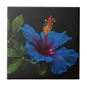 Serene Bloom: De schoonheid van blauwe hibiscus bl Tegeltje