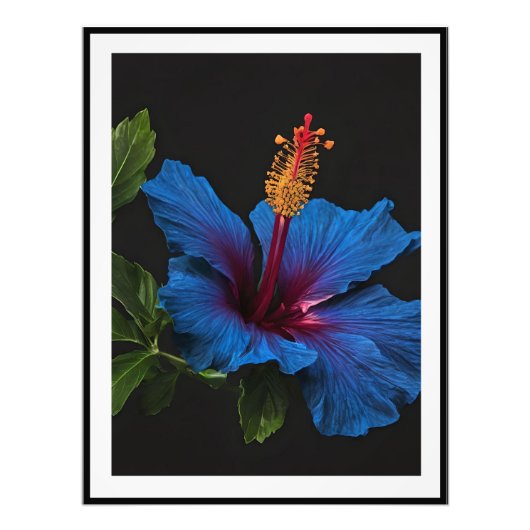 "Serene Bloom: De Schoonheid van Blauwe Hibiscusbl Foto Afdruk (Voorkant)