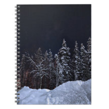 Serene Blue Winter Forest Spiral Notitieboek