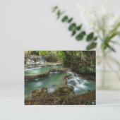 Serene Bos Waterval Pools Ansichtkaart Briefkaart (Staand voorkant)