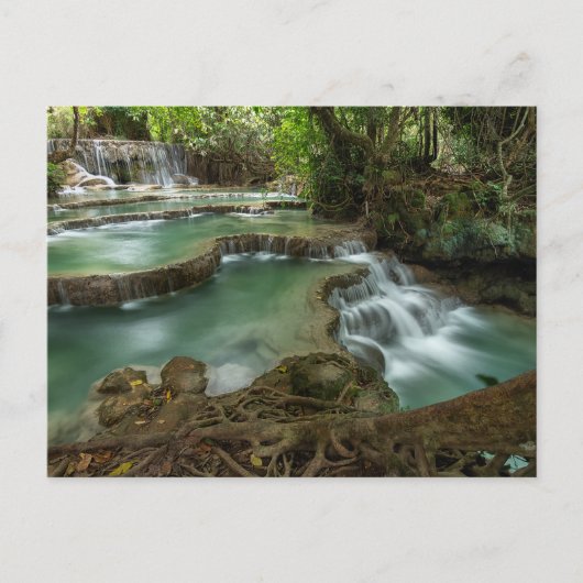 Serene Bos Waterval Pools Ansichtkaart Briefkaart (Voorkant)