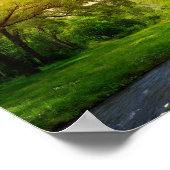 Serene Boslandschap Poster (Hoek)