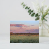 Serene bosweide natuur ansichtkaart briefkaart (Staand voorkant)