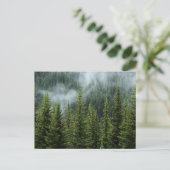 Serene bosweienskaart briefkaart (Staand voorkant)