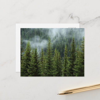 Serene bosweienskaart briefkaart